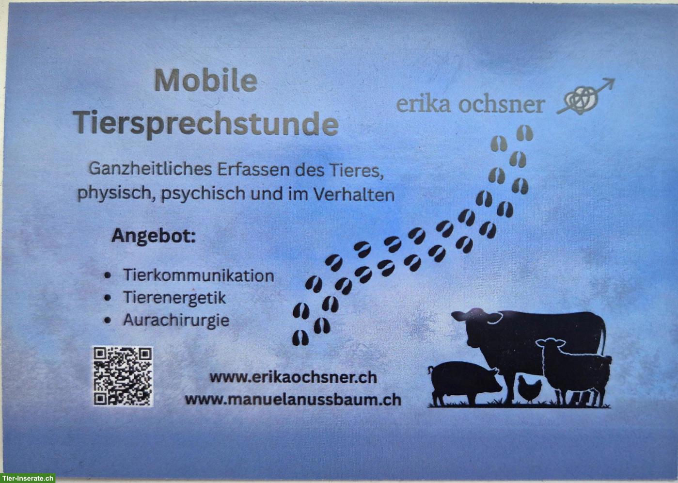 Energetisches Heilen - Tiere ganzheitlich wahrnehmen