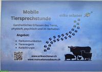 Energetisches Heilen - Tiere ganzheitlich wahrnehmen