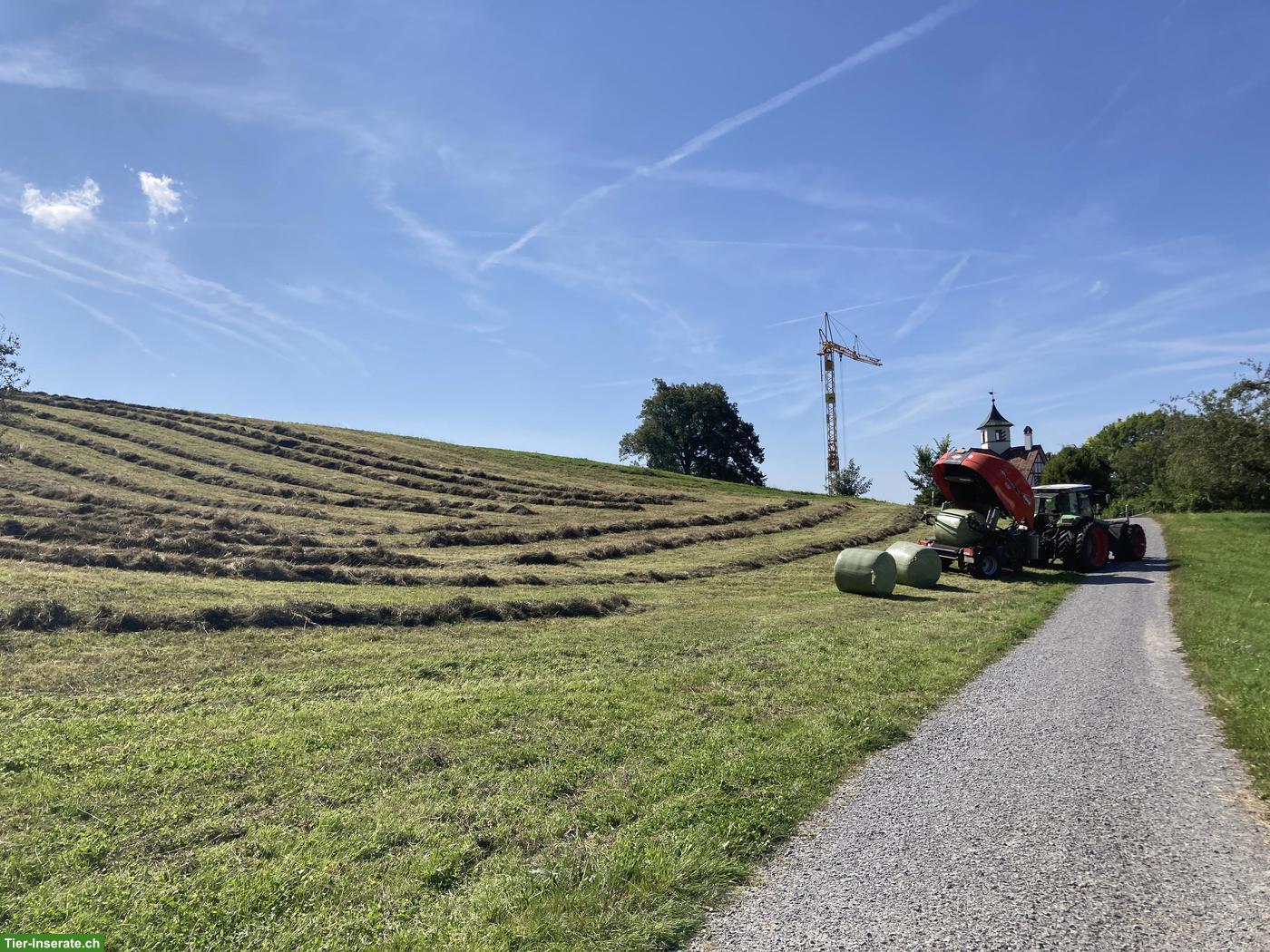 Emd & Heu zu verkaufen: Siloballen, Grossballensilage