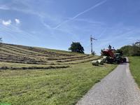 Emd & Heu zu verkaufen: Siloballen, Grossballensilage