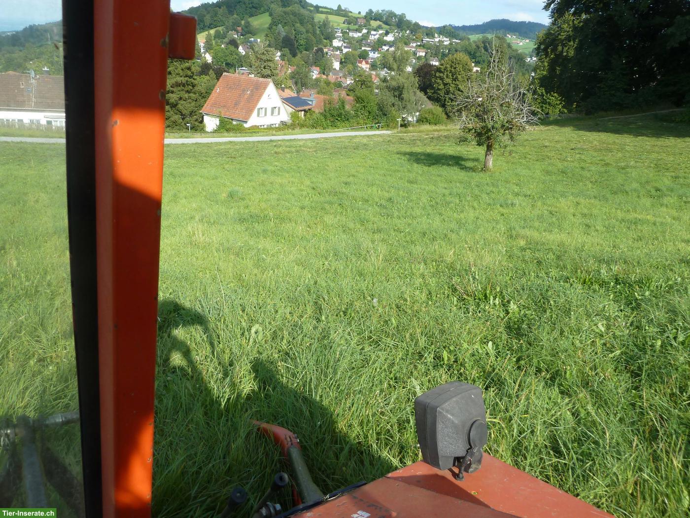 Bild 2: Emd & Heu zu verkaufen: Siloballen, Grossballensilage