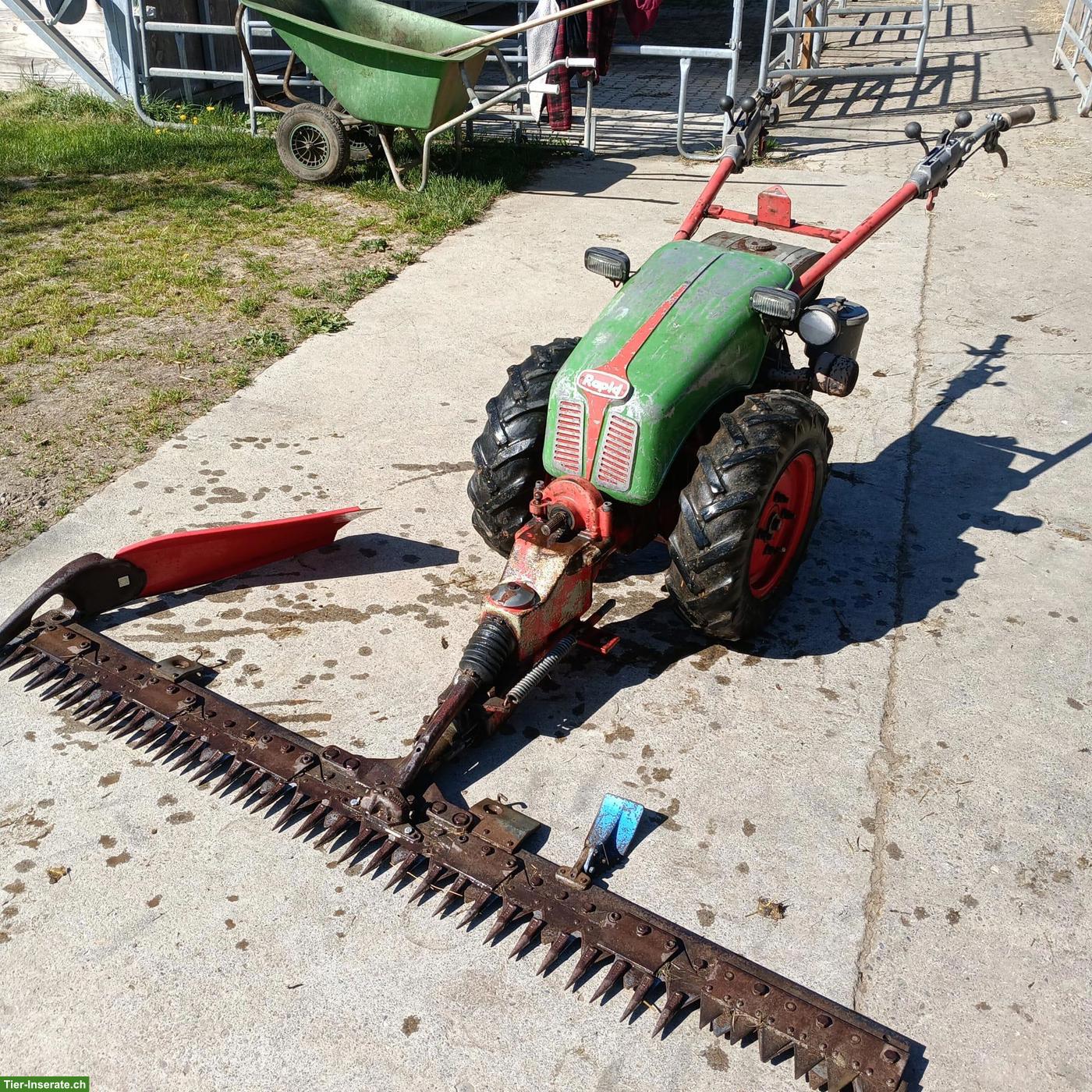Rapid Motormäher mit Bandeingrasung zu verkaufen