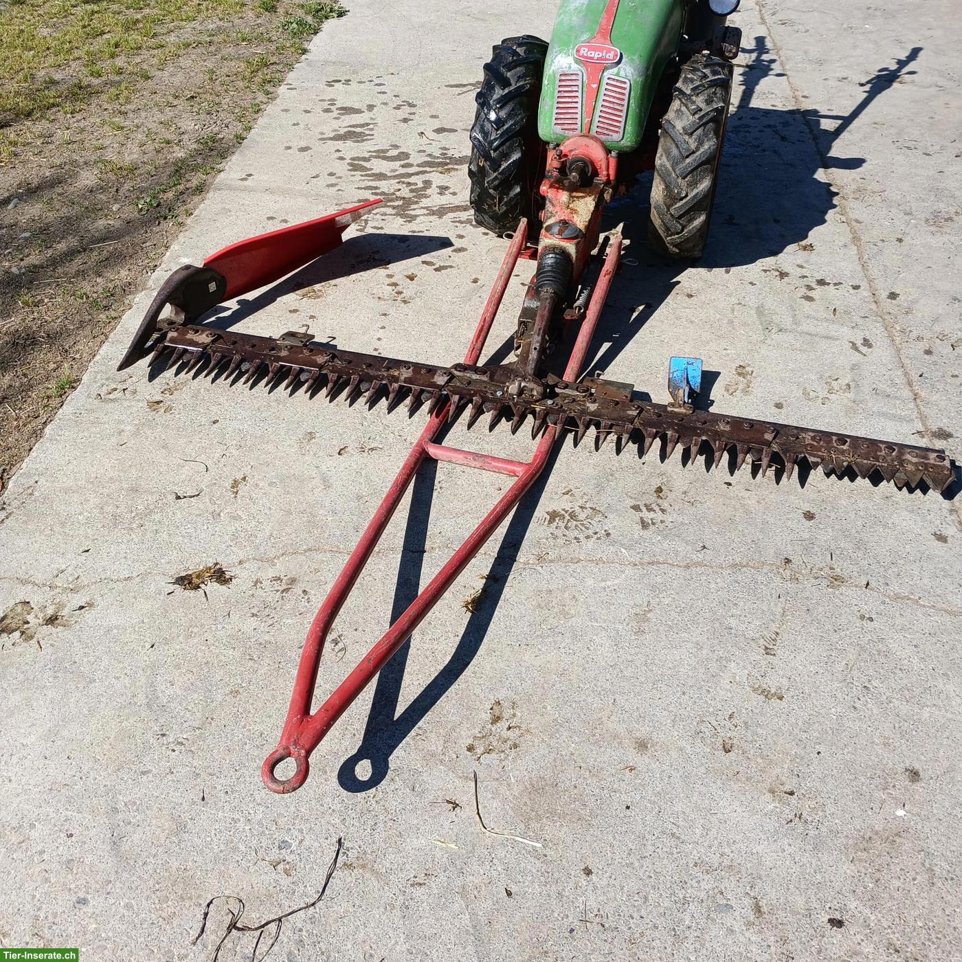 Bild 2: Rapid Motormäher mit Bandeingrasung zu verkaufen