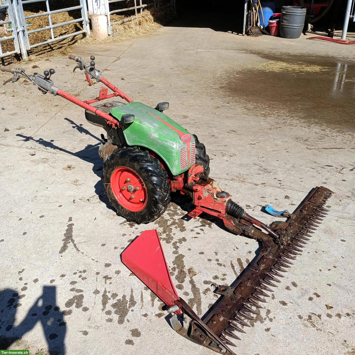 Bild 3: Rapid Motormäher mit Bandeingrasung zu verkaufen