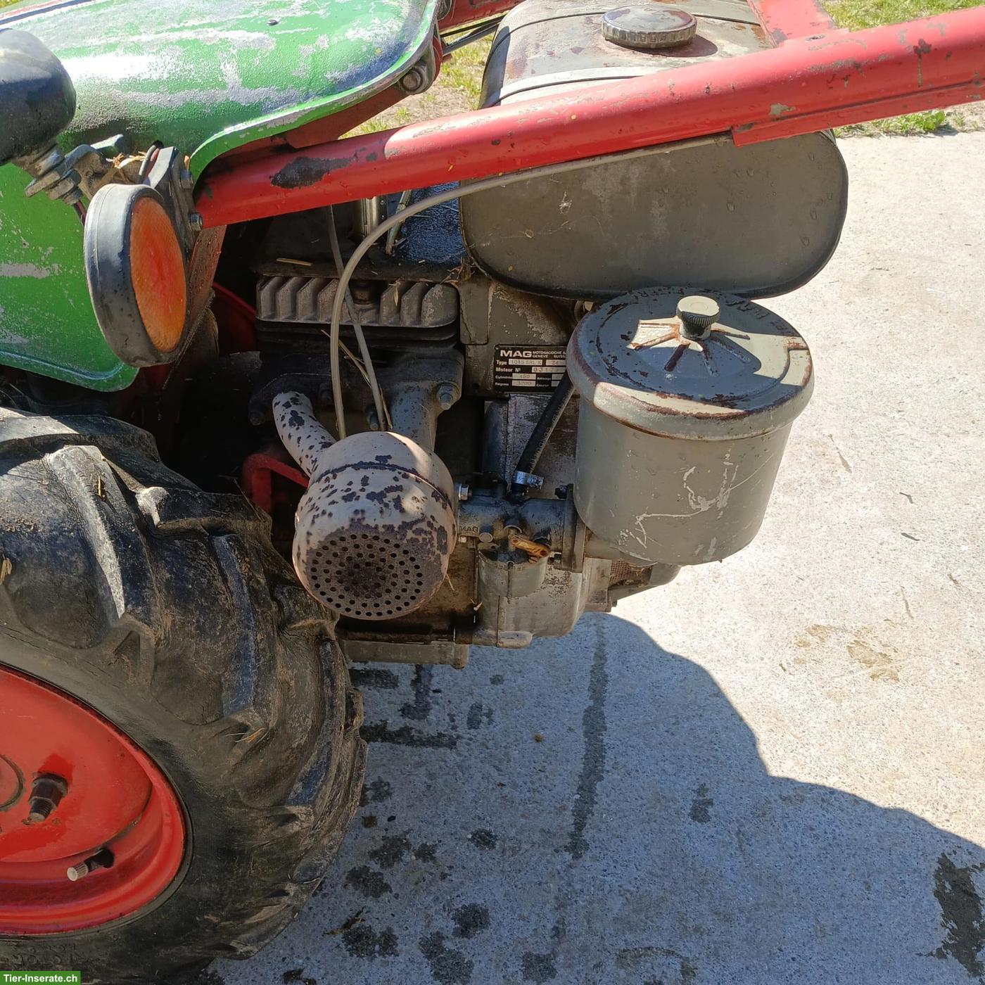 Bild 4: Rapid Motormäher mit Bandeingrasung zu verkaufen
