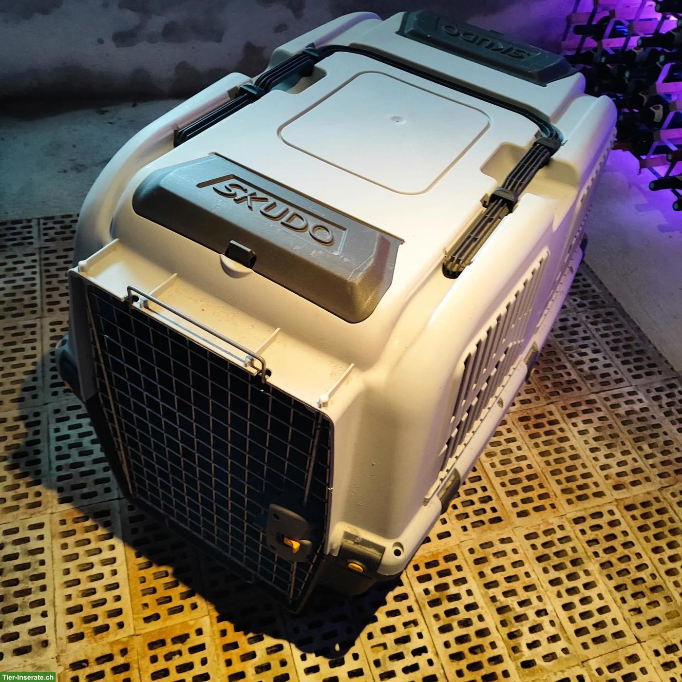 Bild 2: Hundetransportbox Skudo 6 XL zu verkaufen