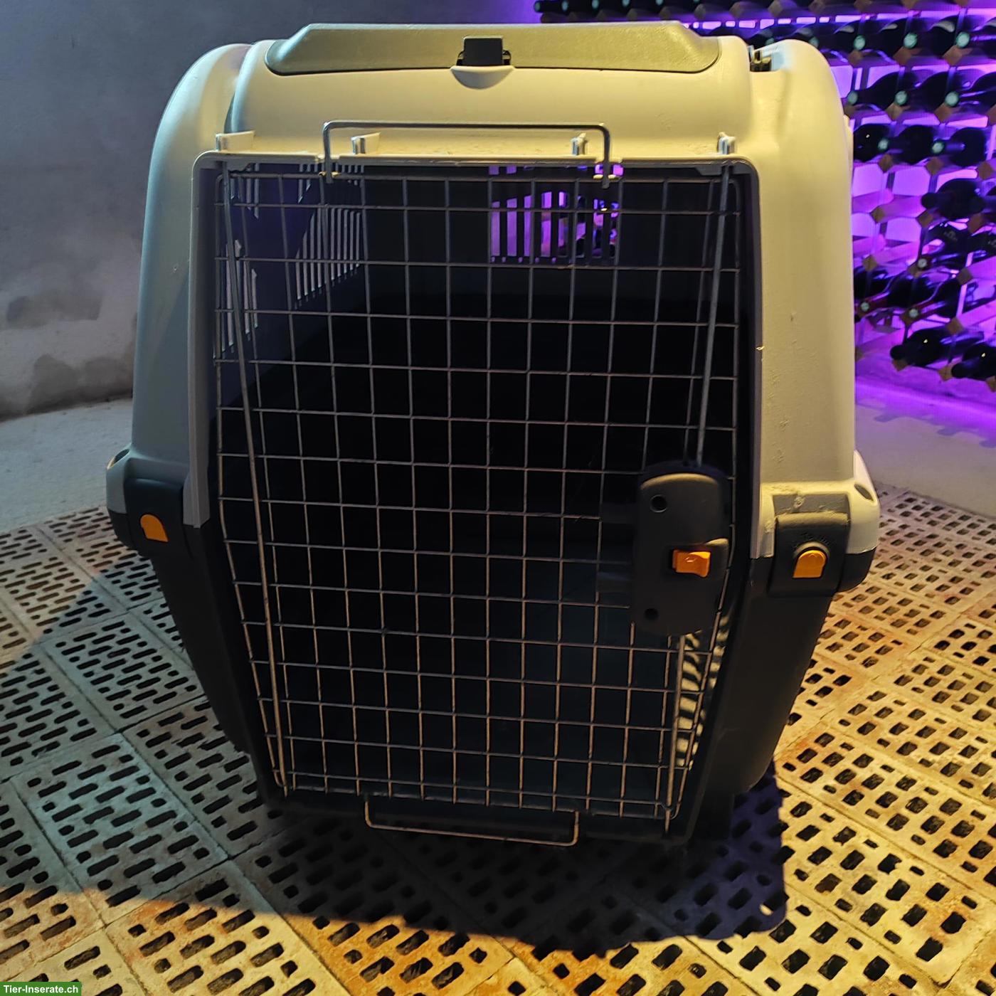 Bild 3: Hundetransportbox Skudo 6 XL zu verkaufen