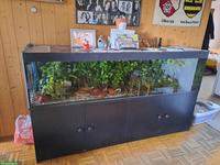 Aquarium mit Zubehör zu verkaufen