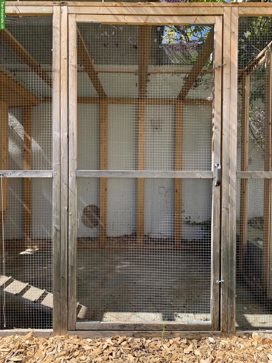 Bild 5: Begehbare Hühnervoliere von Holzbau Rosenthal, Kamenz