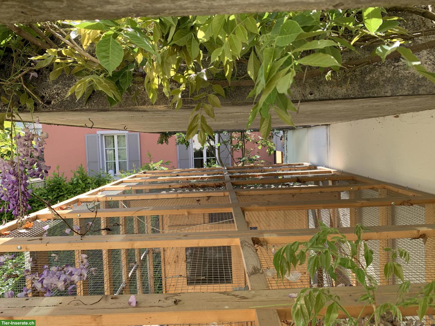 Bild 7: Begehbare Hühnervoliere von Holzbau Rosenthal, Kamenz