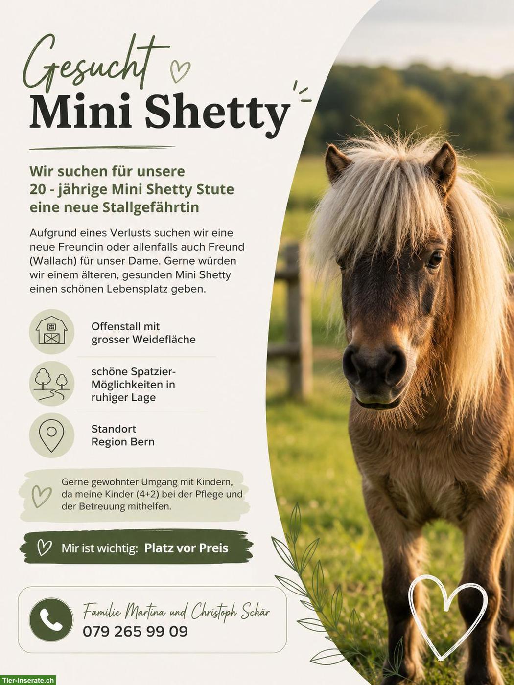 Mini Shetty GESUCHT für Lebensplatz in Offenstall, Region Bern