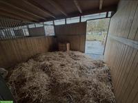Freie Pferdeboxen in Zielebach BE