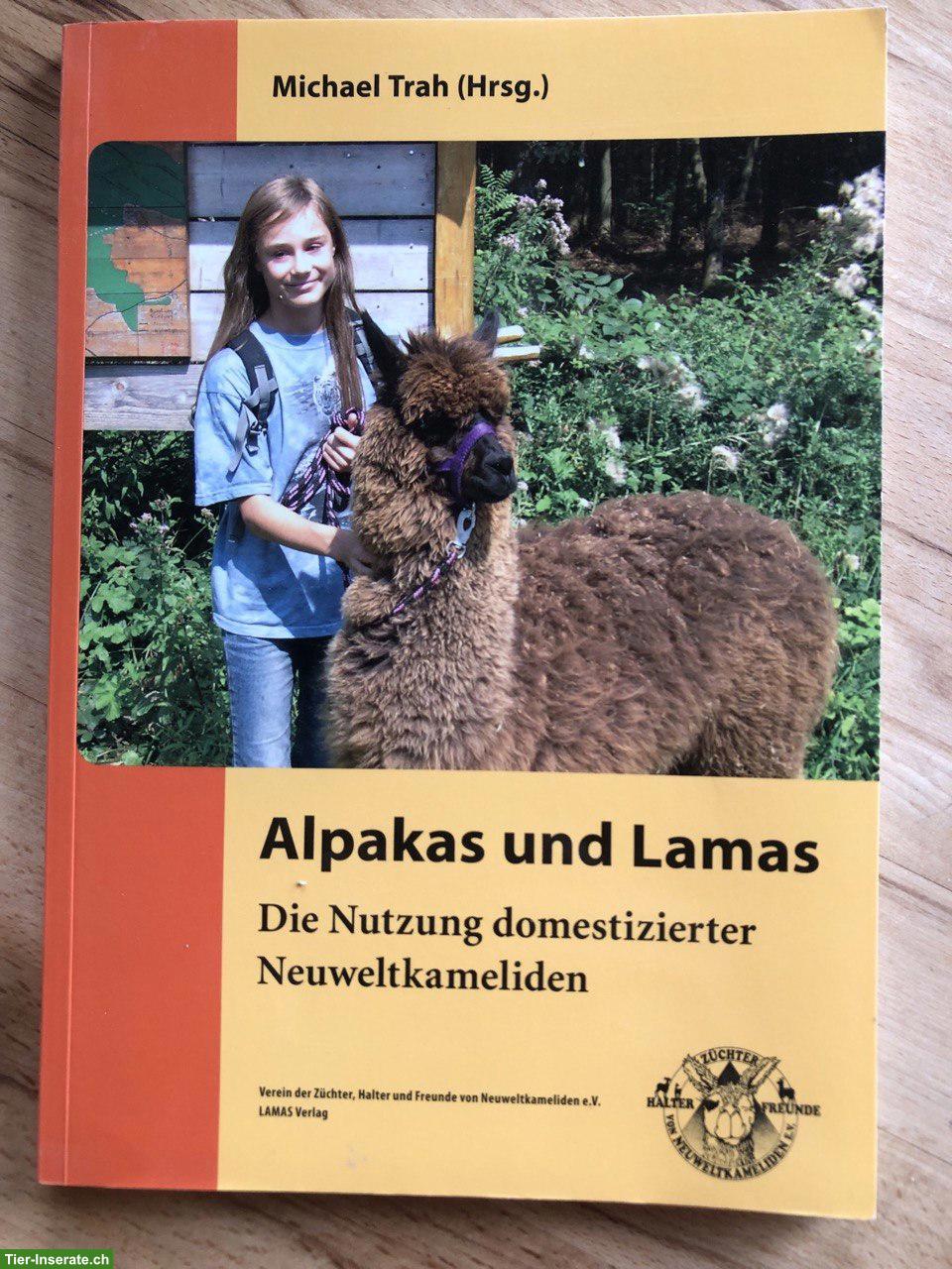 Alpakas und Lamas Ratgeber / Michael Trah