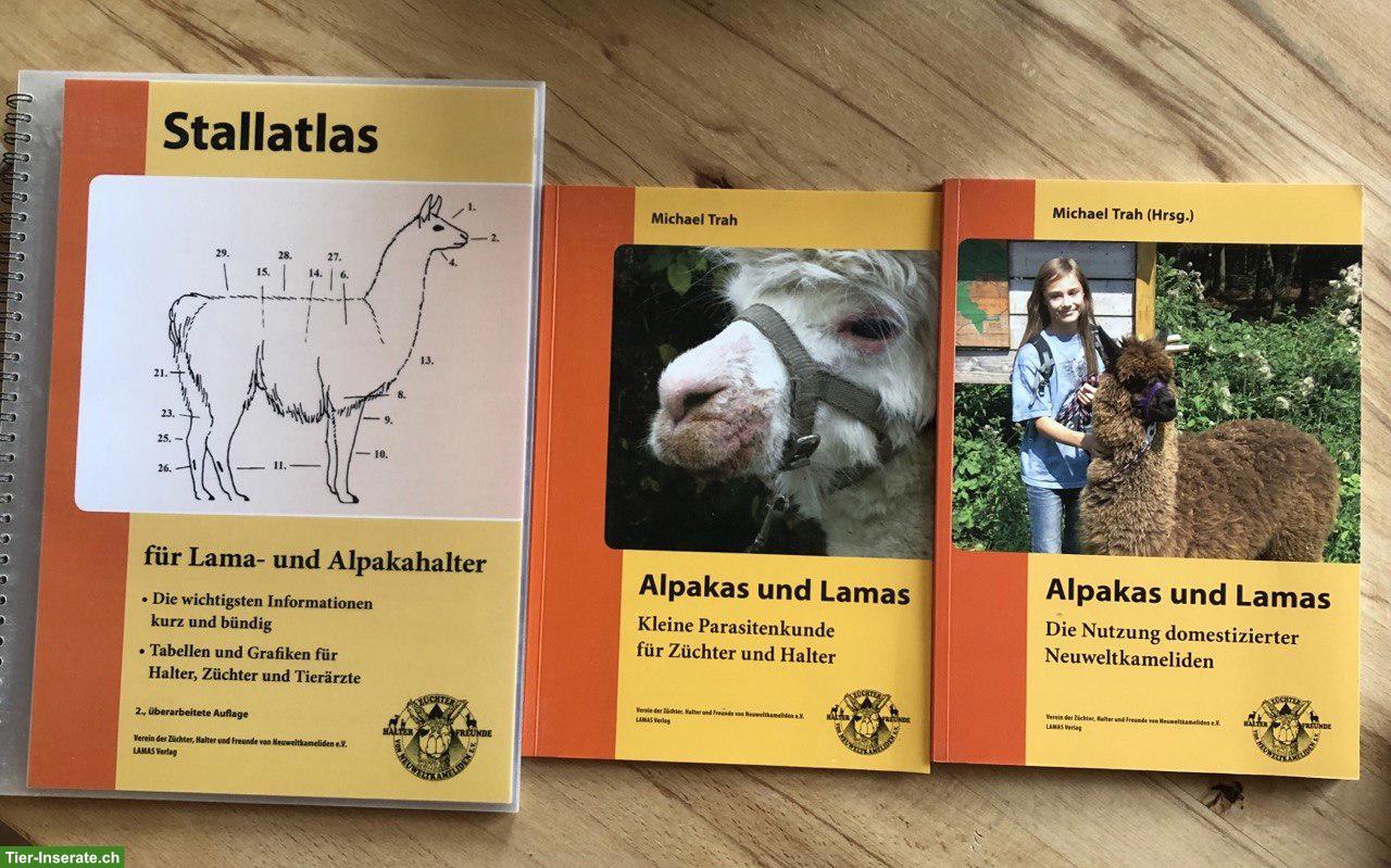 Bild 5: Alpakas und Lamas Ratgeber / Michael Trah