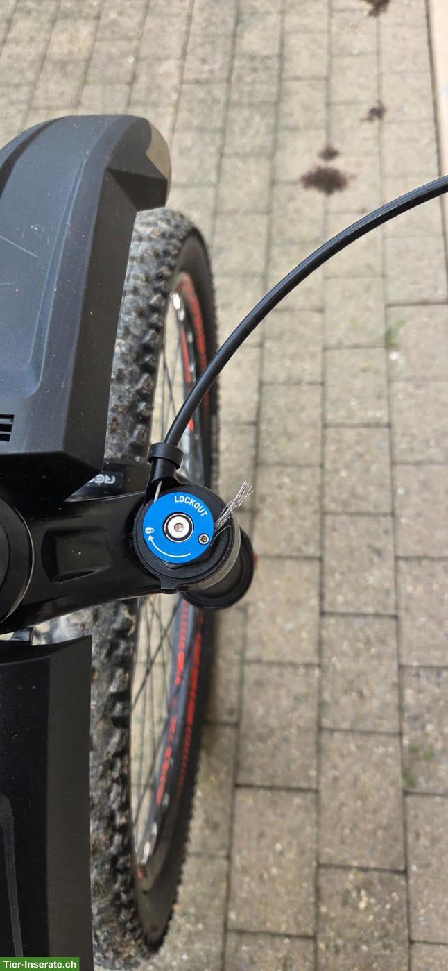 Bild 2: Dogscooter Crussis zu verkaufen