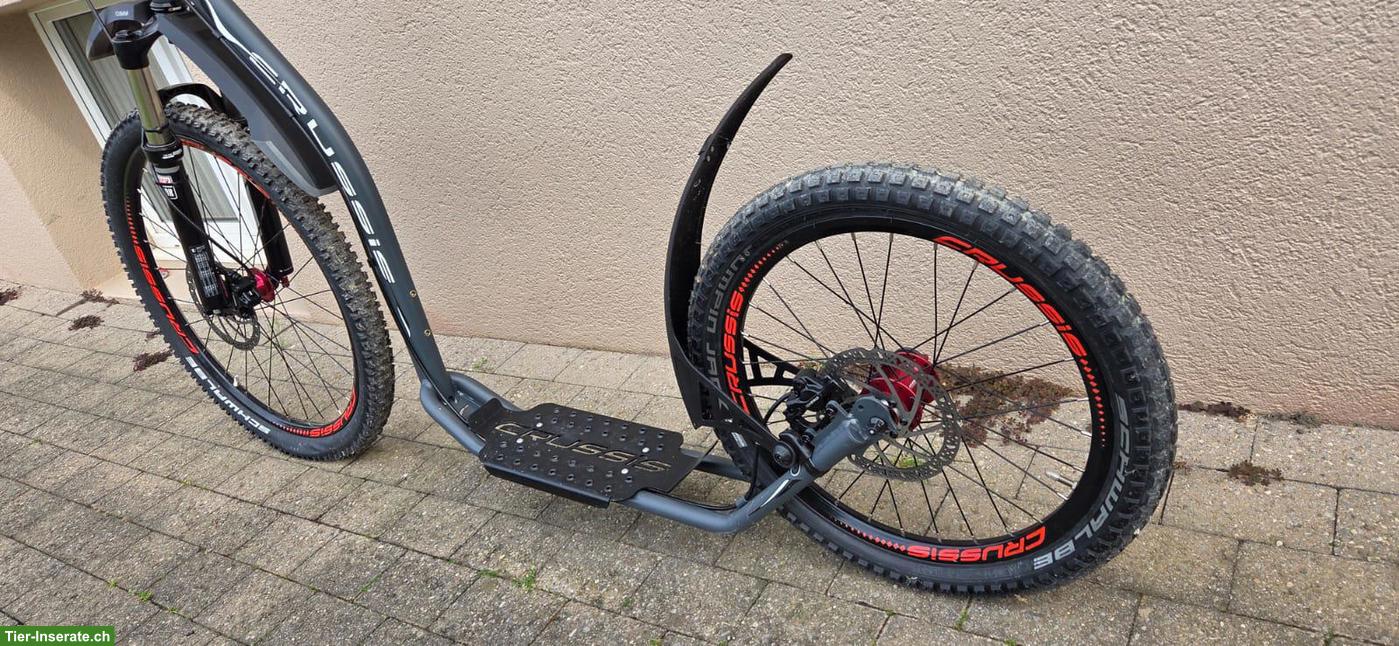 Bild 4: Dogscooter Crussis zu verkaufen