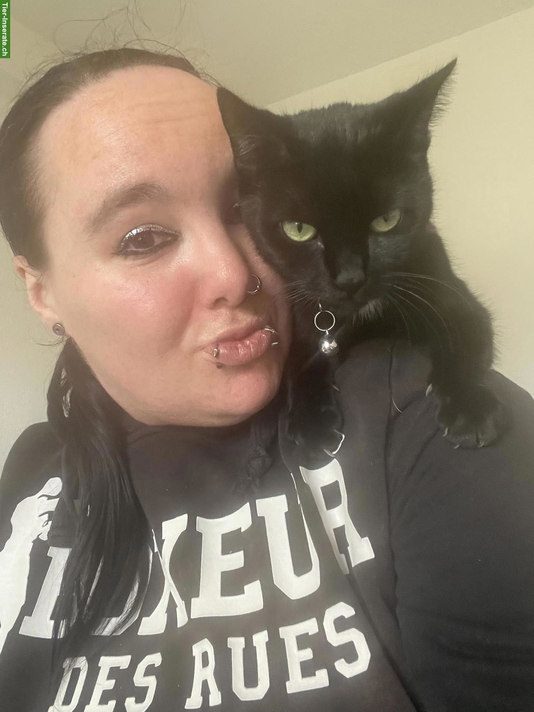 Bild 4: Schwarze Katze Kira sucht schweren Herzens neues Zuhause