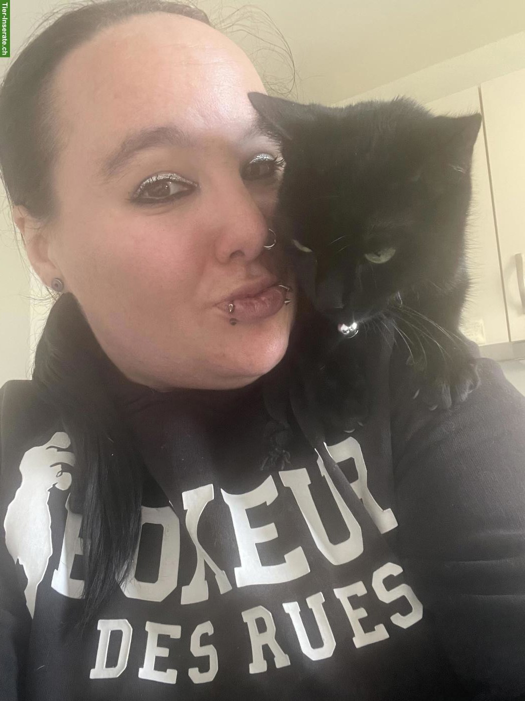 Bild 5: Schwarze Katze Kira sucht schweren Herzens neues Zuhause