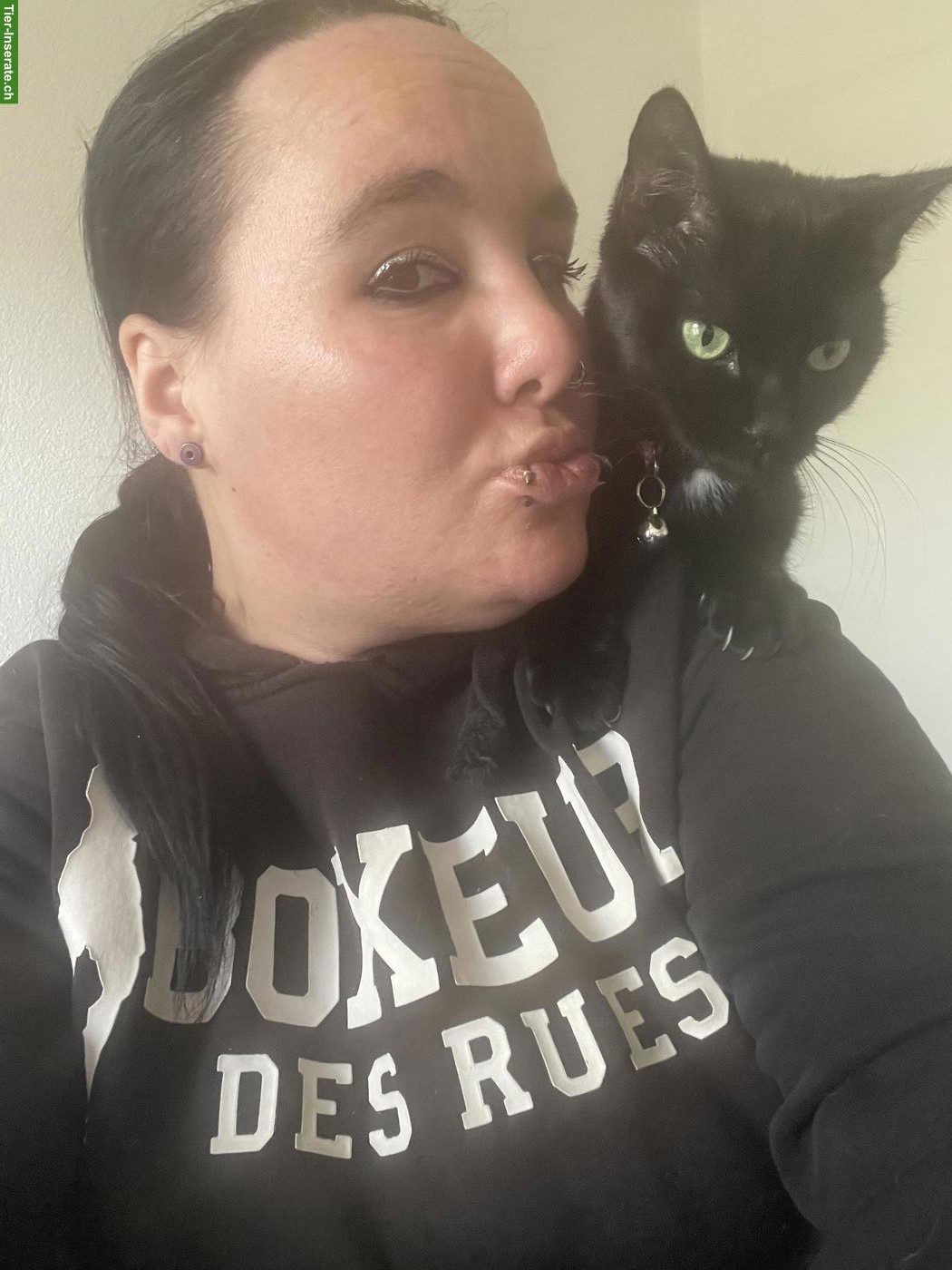 Bild 6: Schwarze Katze Kira sucht schweren Herzens neues Zuhause