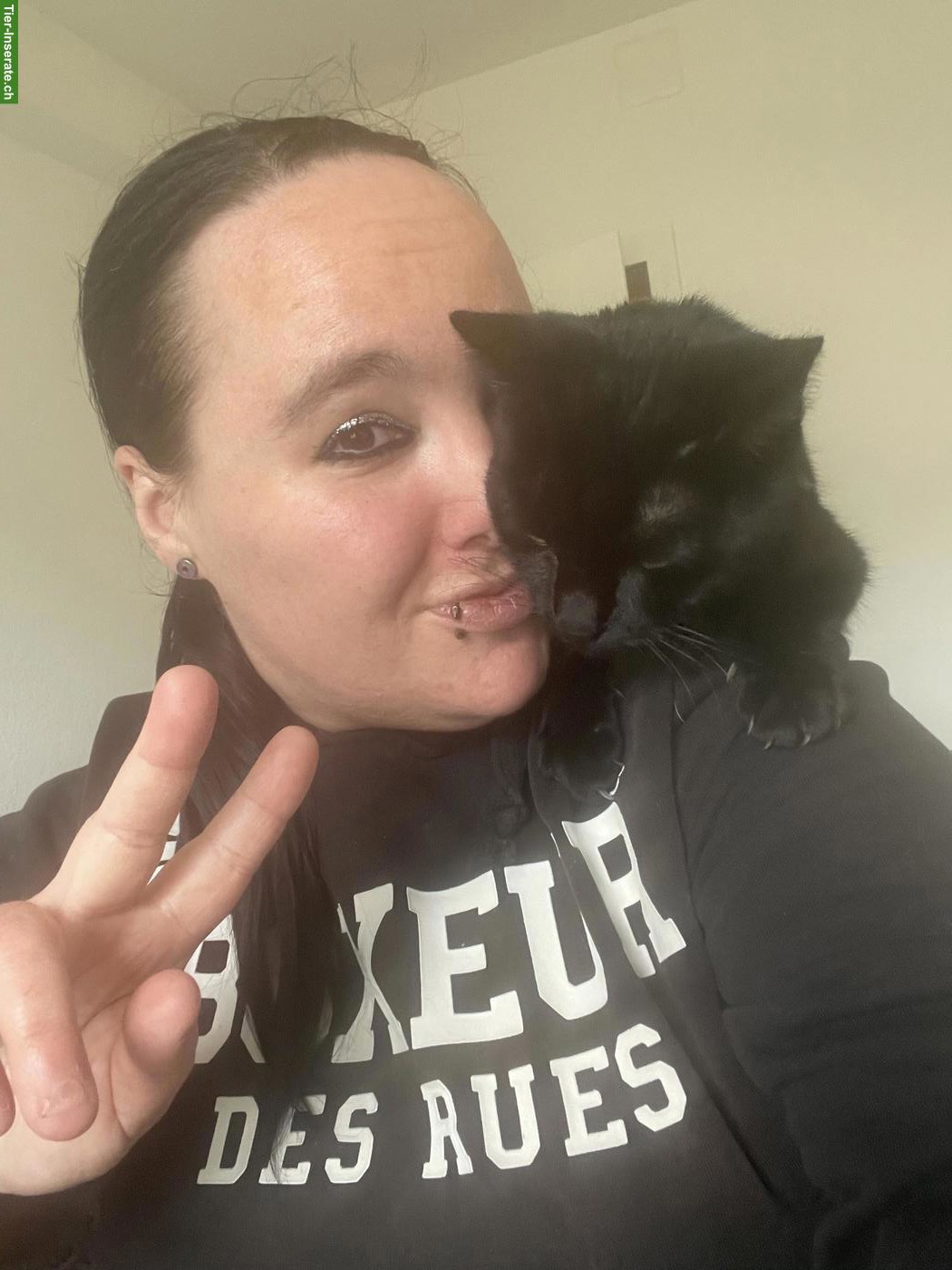 Bild 8: Schwarze Katze Kira sucht schweren Herzens neues Zuhause