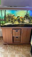 Aquarium 380 Liter gratis abzugeben