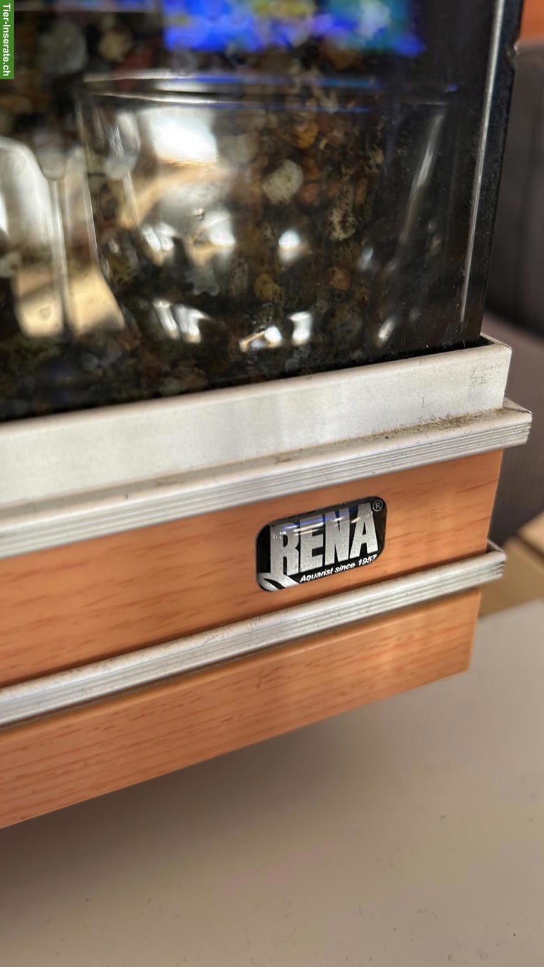 Bild 4: GRATIS: Rena Aquarium 380 Liter Komplettset inkl. Fische