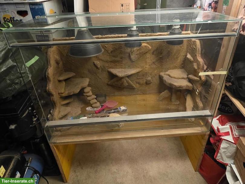 XL Terrarium mit Schiebetüren inkl. Unterschrank zu verkaufen