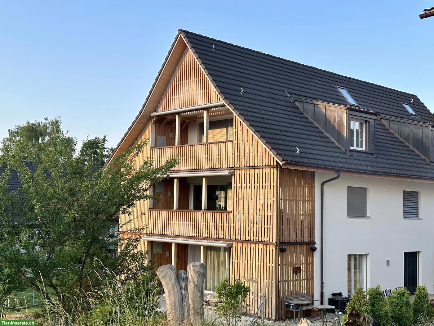 Attraktive, moderne 3½ Zimmer Dachwohnung zu vermieten per 1. Juli