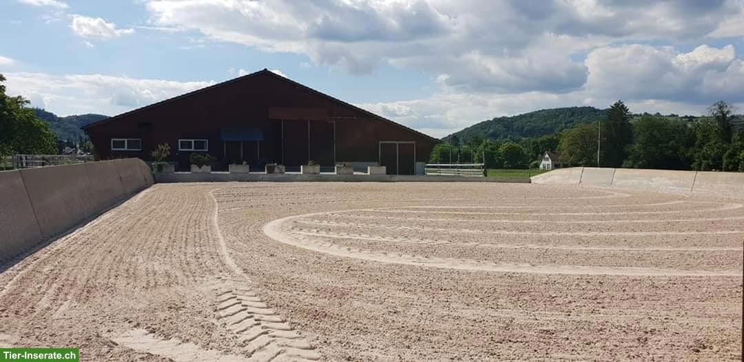 Freie Auslaufboxen mit bedampftem Heu & Stroh, Pfungen ZH