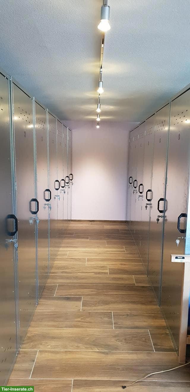 Bild 8: Freie Auslaufboxen mit bedampftem Heu & Stroh, Pfungen ZH