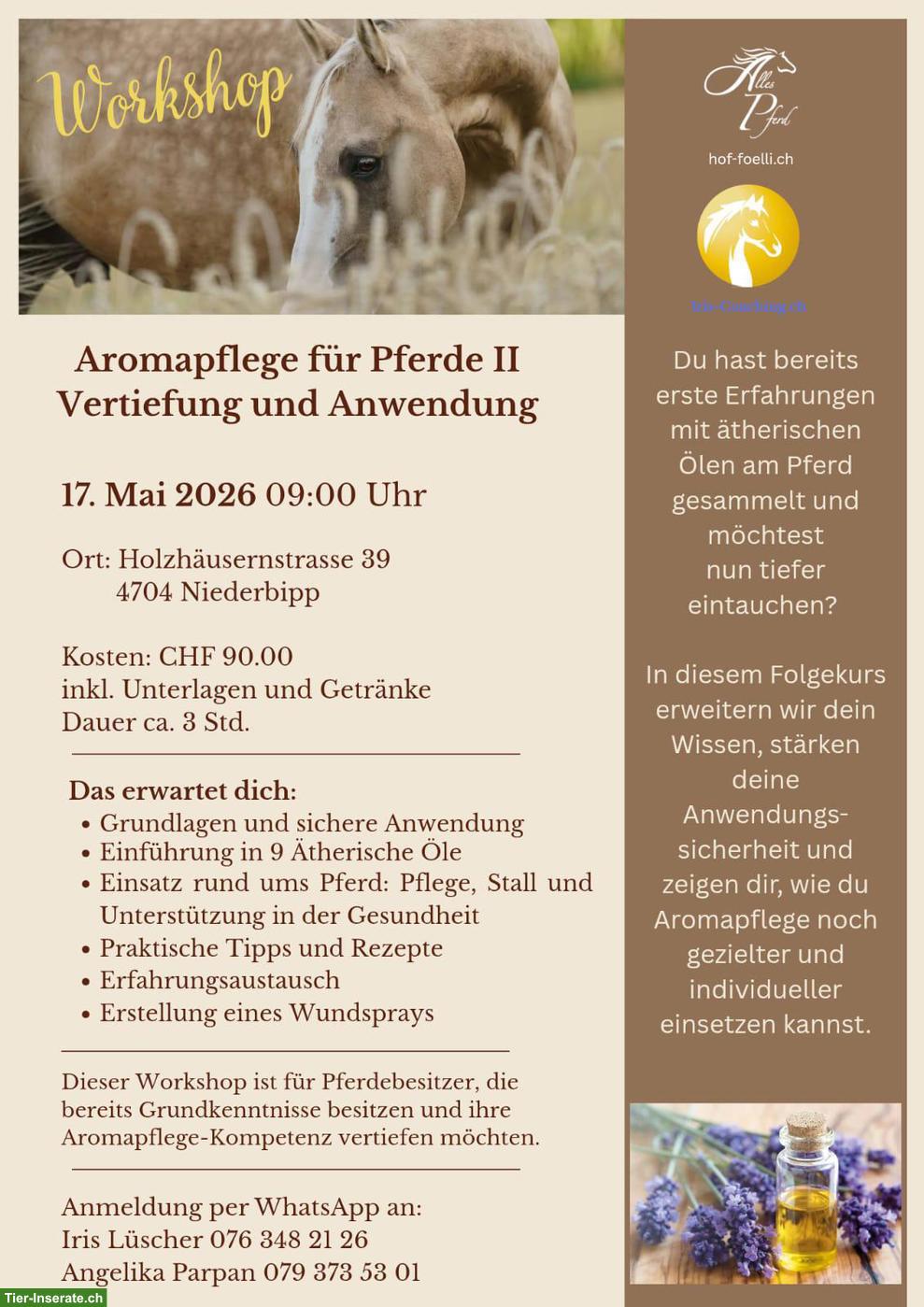 Workshop Ätherische Öle für Pferde in Niederbipp BE
