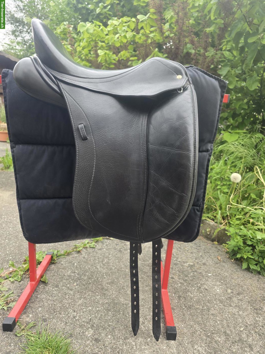 Schleese Triumph Dressursattel 17.5 Zoll zu verkaufen