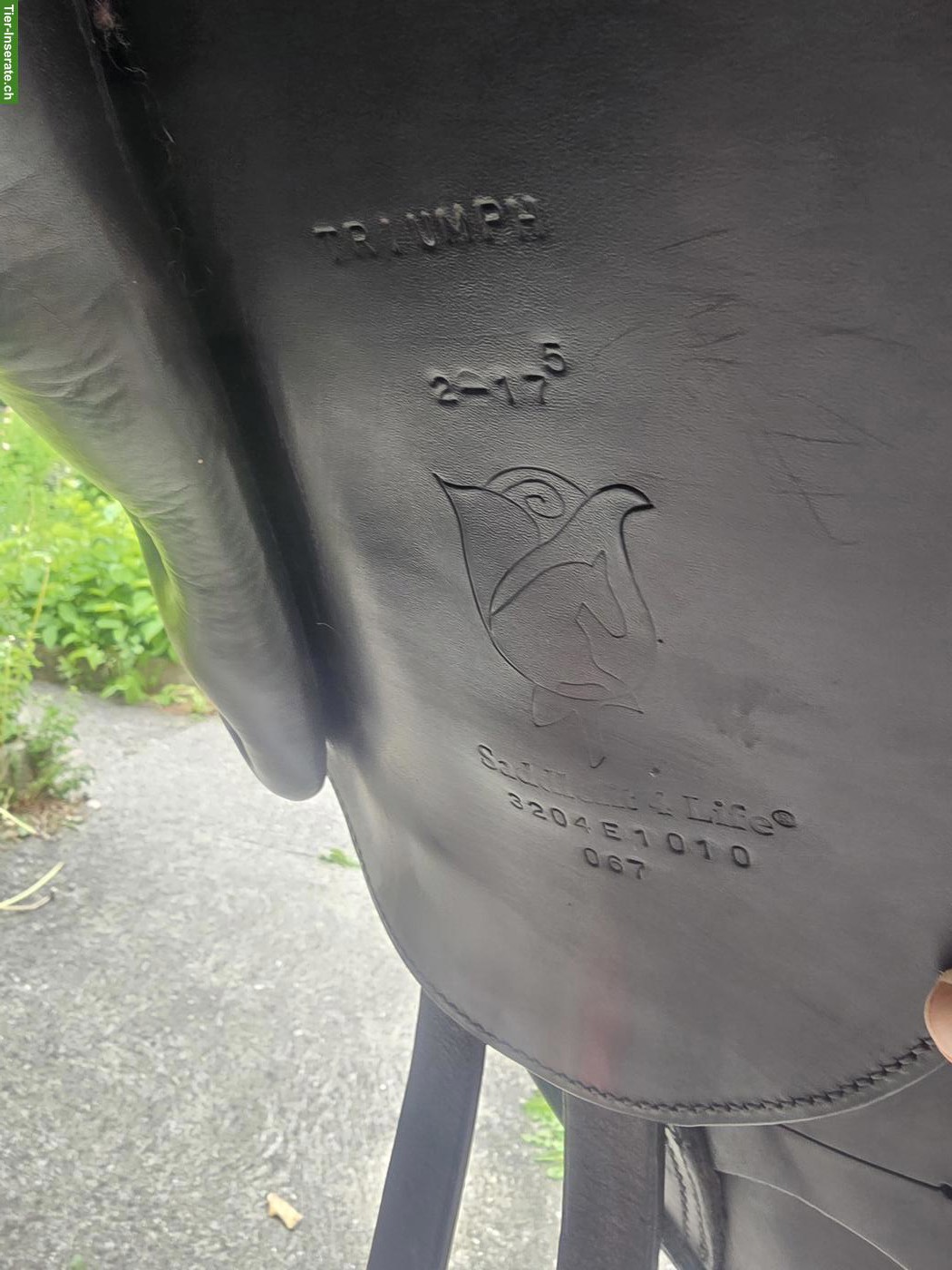 Bild 4: Schleese Triumph Dressursattel 17.5 Zoll zu verkaufen