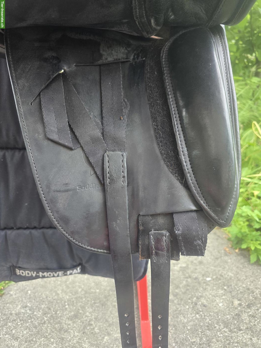 Bild 8: Schleese Triumph Dressursattel 17.5 Zoll zu verkaufen
