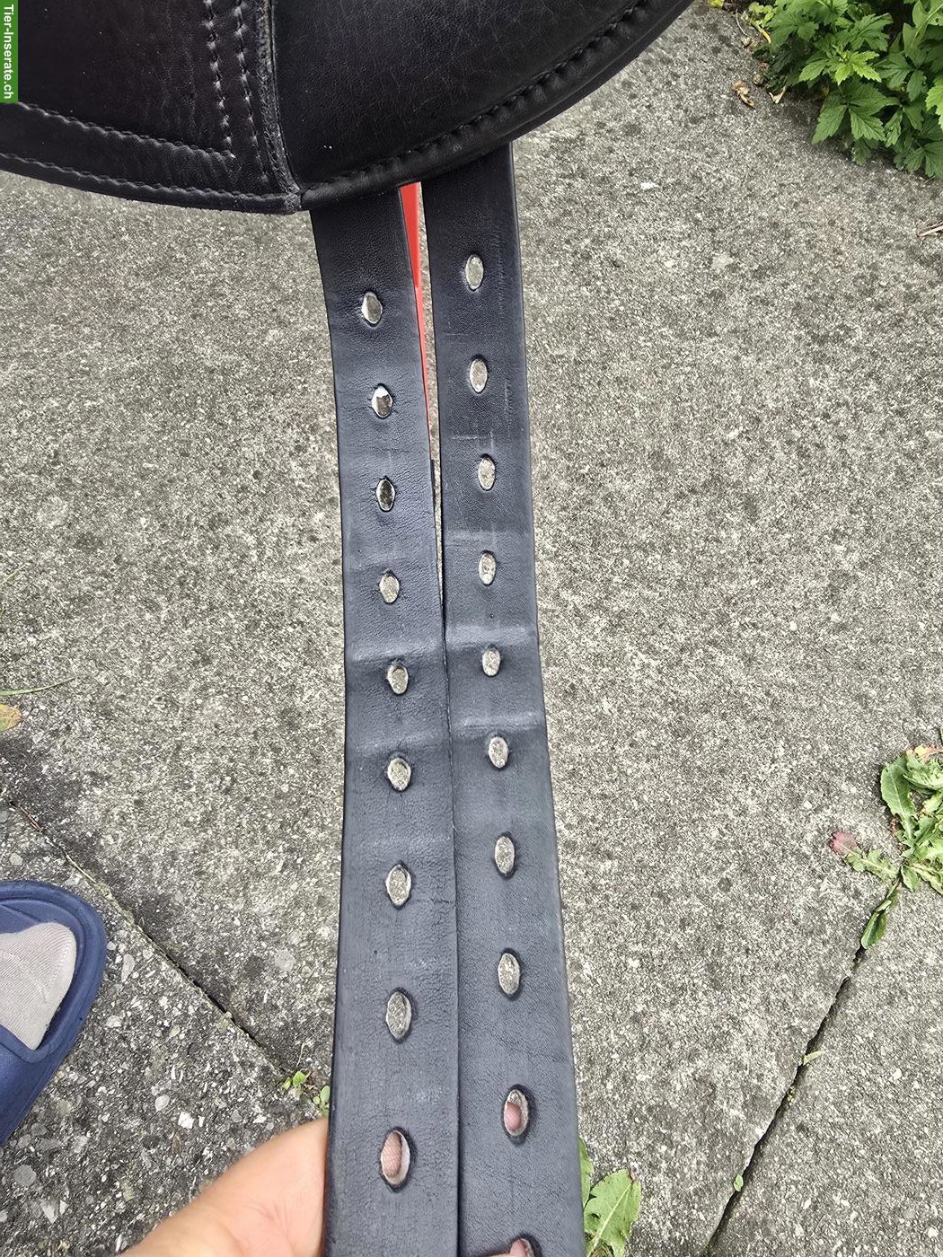 Bild 9: Schleese Triumph Dressursattel 17.5 Zoll zu verkaufen