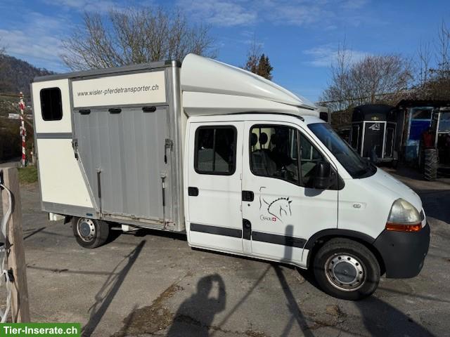 Pferdetransporter / Selbstfahrer zu verkaufen