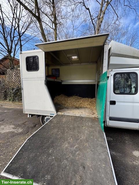 Bild 3: Pferdetransporter / Selbstfahrer zu verkaufen