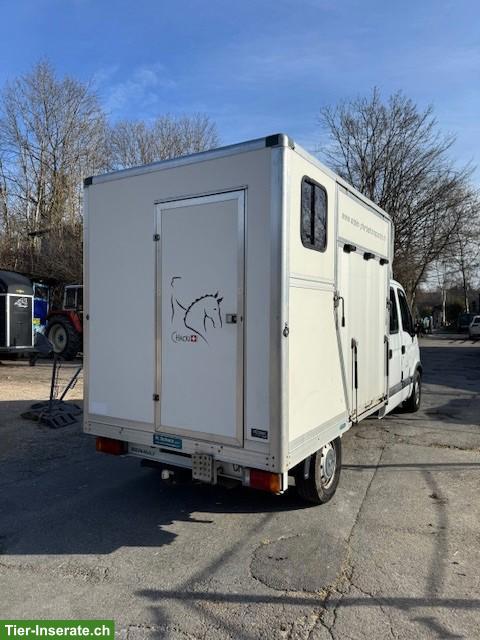 Bild 4: Pferdetransporter / Selbstfahrer zu verkaufen