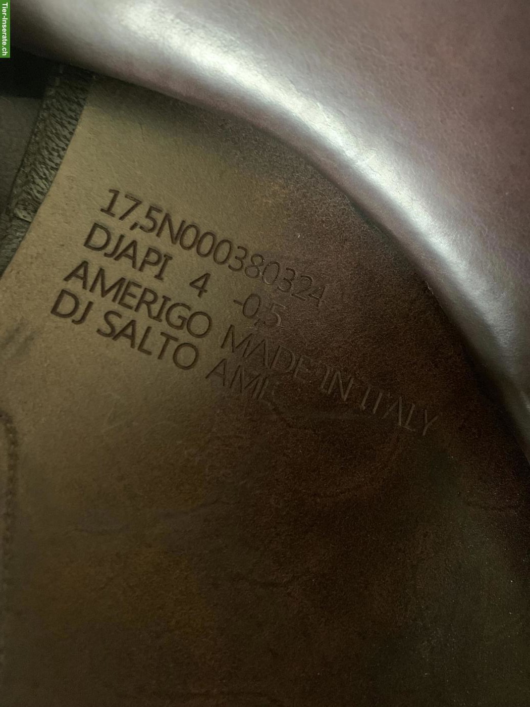 Bild 5: Amerigo Springsattel 17.5 Zoll zu verkaufen