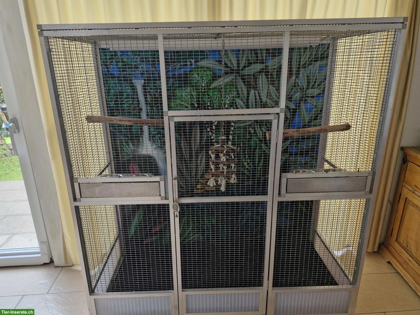 Bild 3: Vogelvoliere mit schöner Gemälde-Rückwand