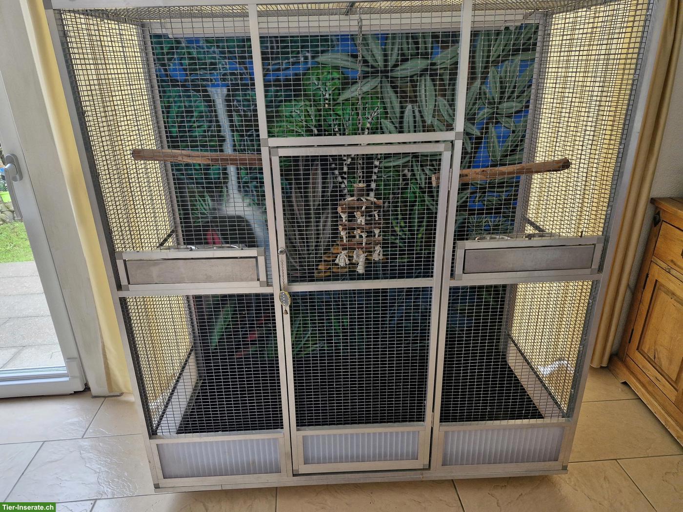 Bild 4: Vogelvoliere mit schöner Gemälde-Rückwand