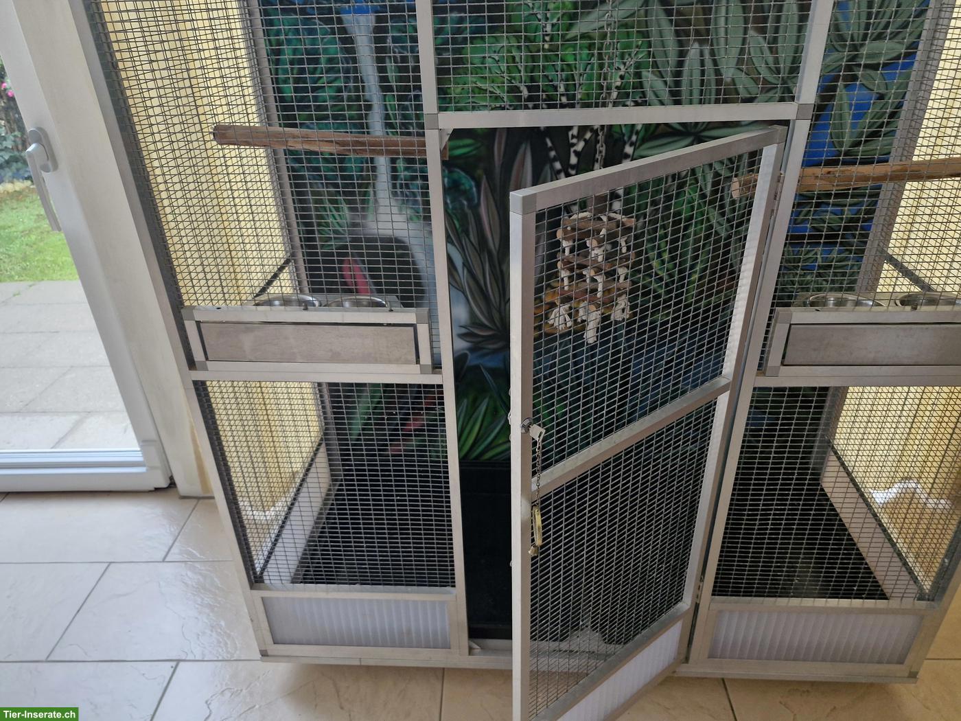 Bild 6: Vogelvoliere mit schöner Gemälde-Rückwand