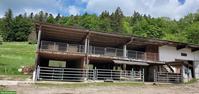 Pferdepension im Offenstall, Goumois JU