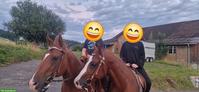 Reitbeteiligungen in Stäfa für Quarter Horse Stuten