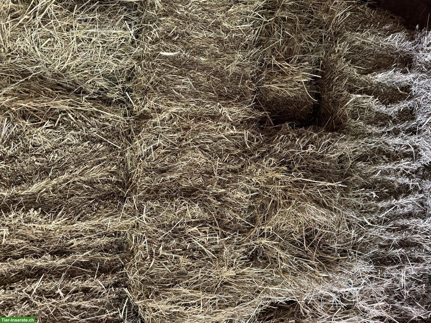Belüftetes Pferdeheu in Kleinballen zu verkaufen