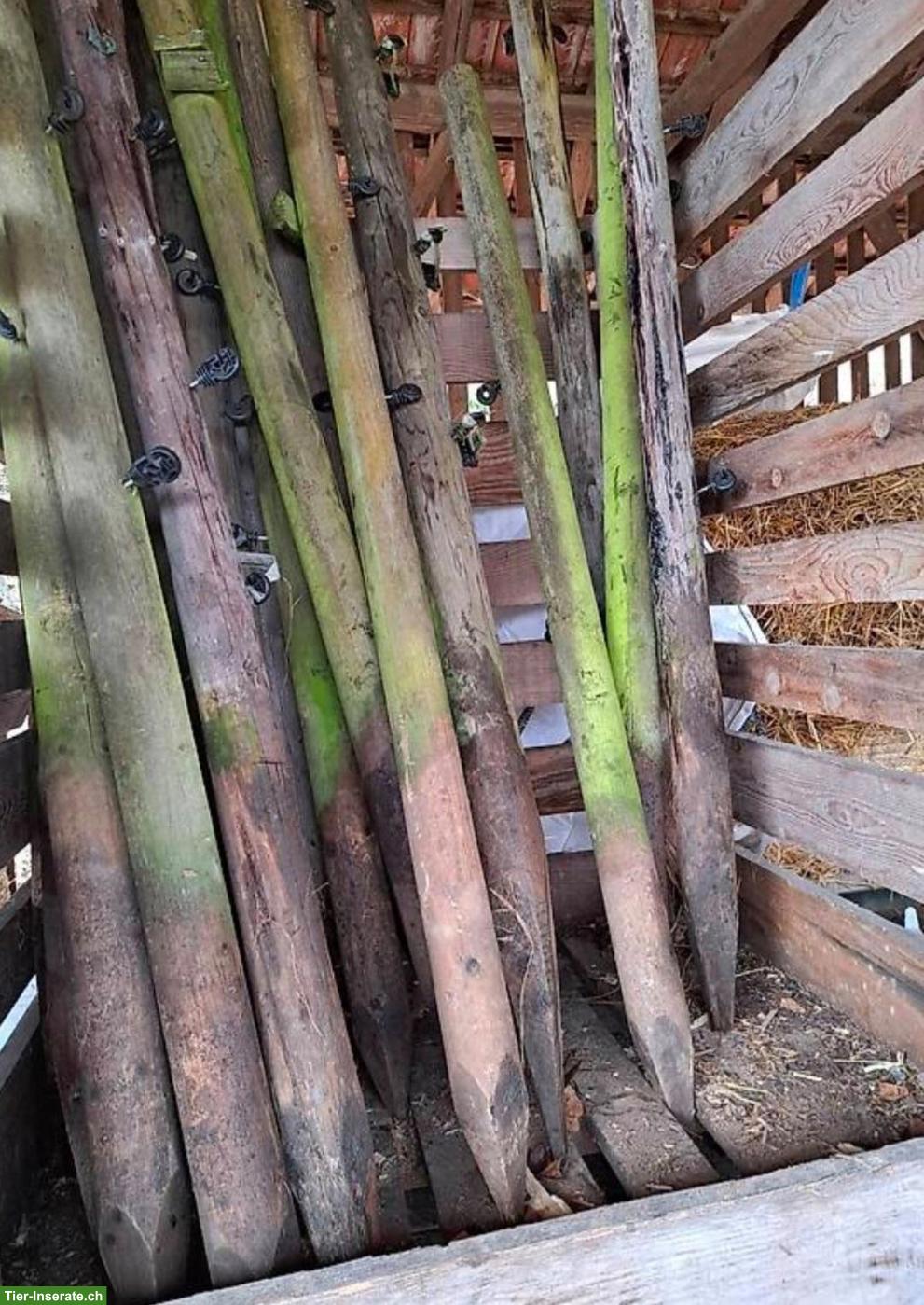 Holzpfähle gratis abzugeben