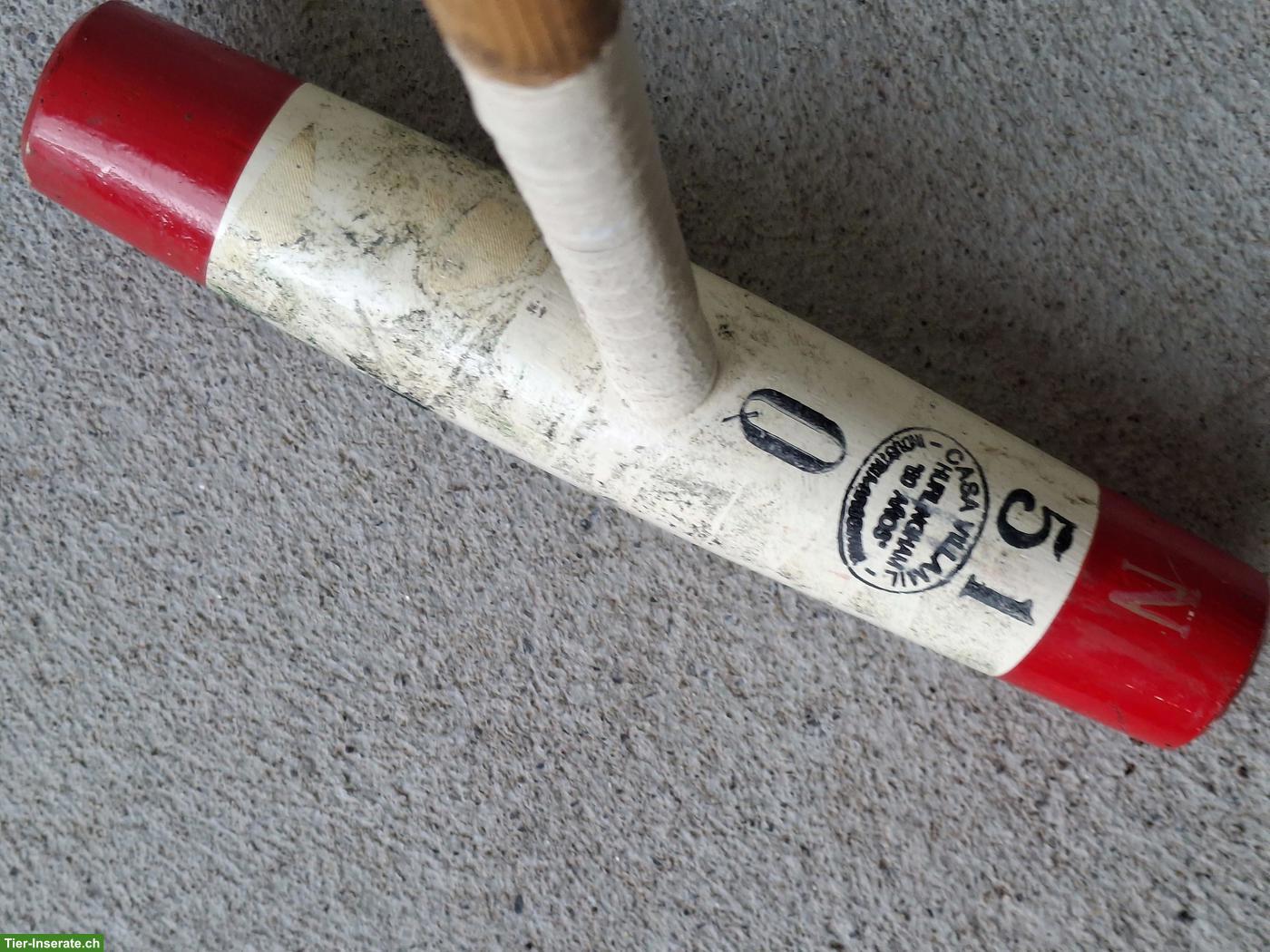 Bild 3: Polo Sticks zu verkaufen