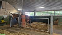 Pferdeboxen auf familiärem Bauernbetrieb zu vermieten