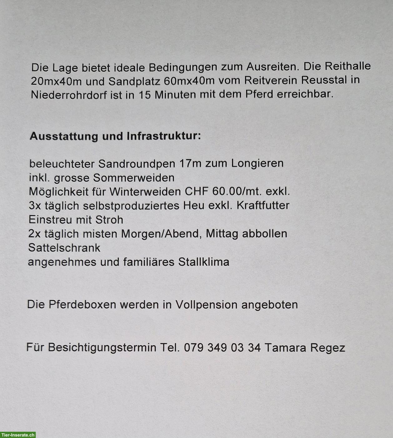Bild 9: Pferdeboxen auf familiärem Bauernbetrieb zu vermieten