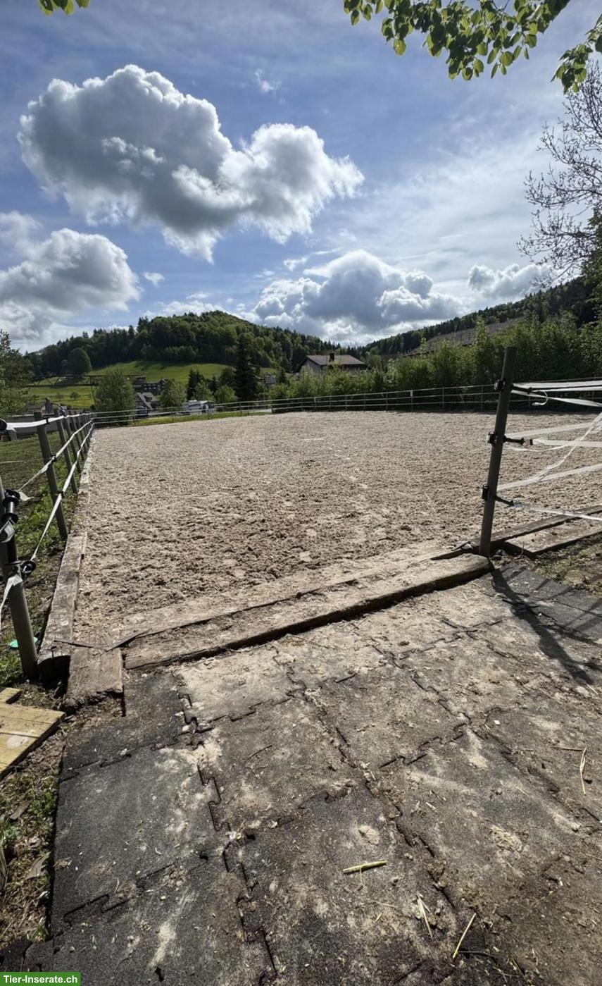 Bild 4: Offenstall mit freiem Platz 🐴 ab sofort | Schachen bei Herisau AR